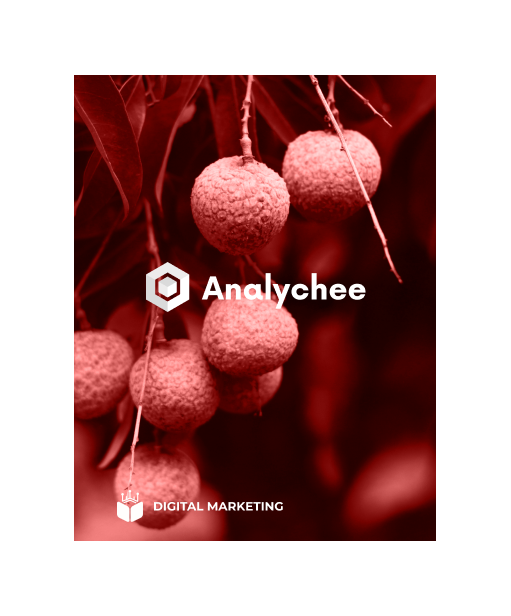 Analychee